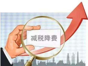 從減稅降費政策看金融服務費 金融中介服務該不該退？