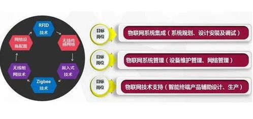特色專(zhuān)業(yè)介紹丨物聯(lián)網(wǎng)應(yīng)用技術(shù)專(zhuān)業(yè) 網(wǎng)絡(luò)技術(shù)開(kāi)發(fā)的創(chuàng)新引擎